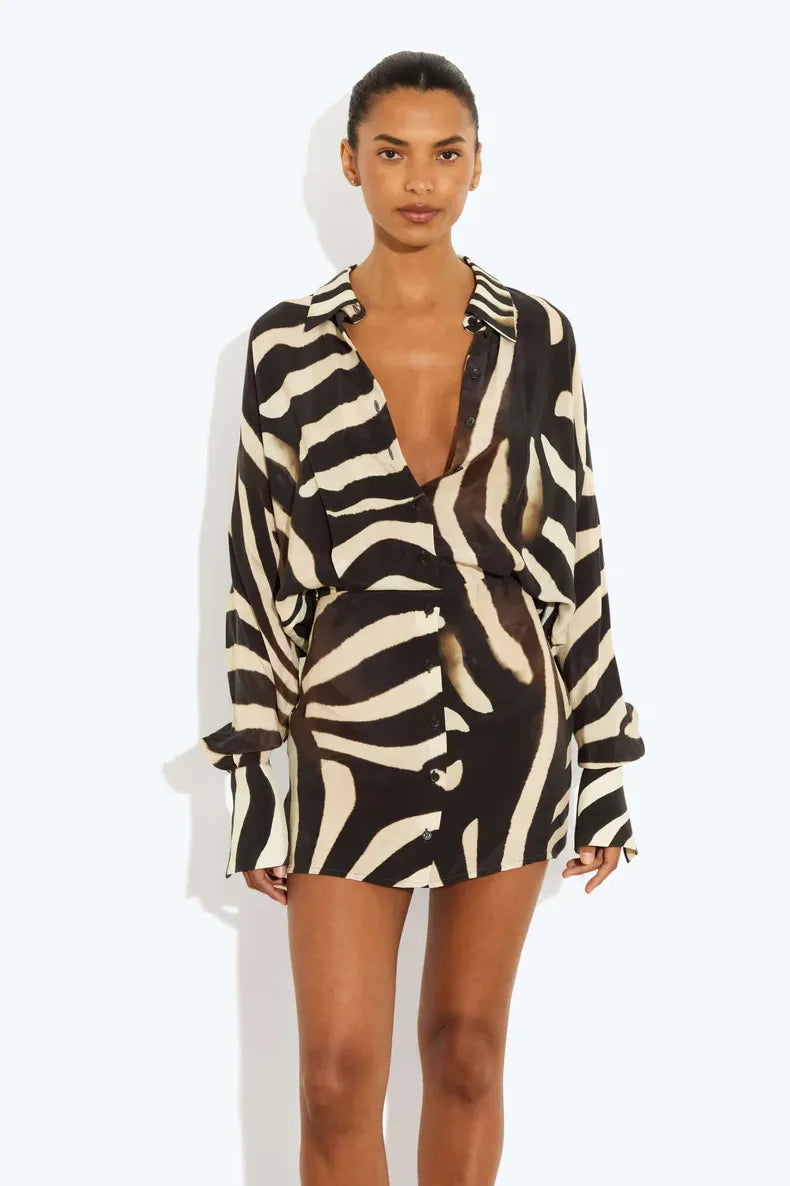 Kayla | Zebra Print Long Sleeve Mini Dress