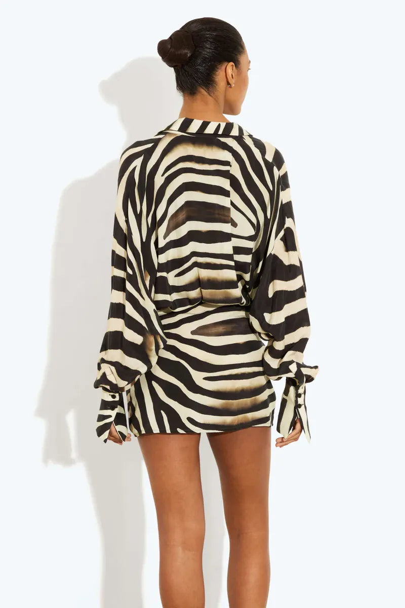 Kayla | Zebra Print Long Sleeve Mini Dress